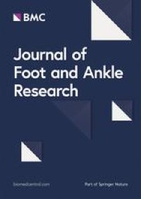An anatomical approach to the tarsal tunnel syndrome: what can ankle’s medial side anatomy reveal to us?