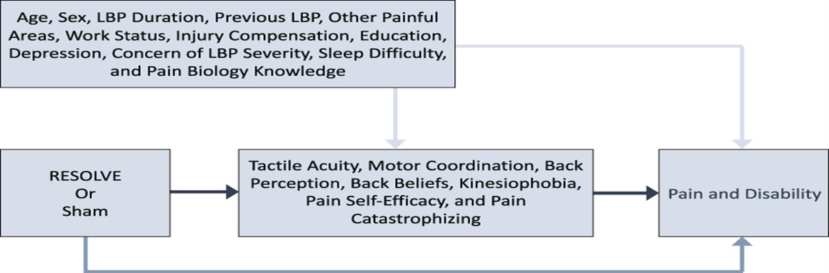 Mechanisms of education and graded sensorimotor retraining in people with chronic low back pain: a mediation analysis