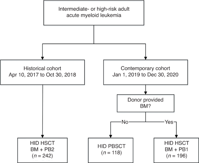 Peripheral blood stem cell transplantation from haploidentical related donor could achieve satisfactory clinical outcomes for intermediate- or high-risk adult acute myeloid leukemia patients