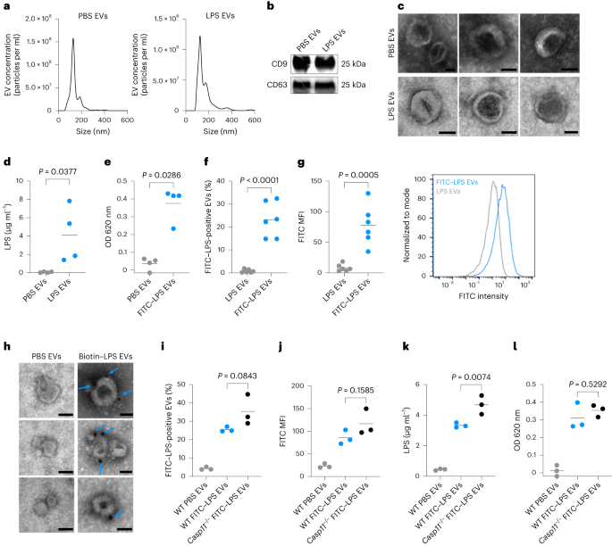 Host extracellular vesicles confer cytosolic access to systemic LPS licensing non-canonical inflammasome sensing and pyroptosis