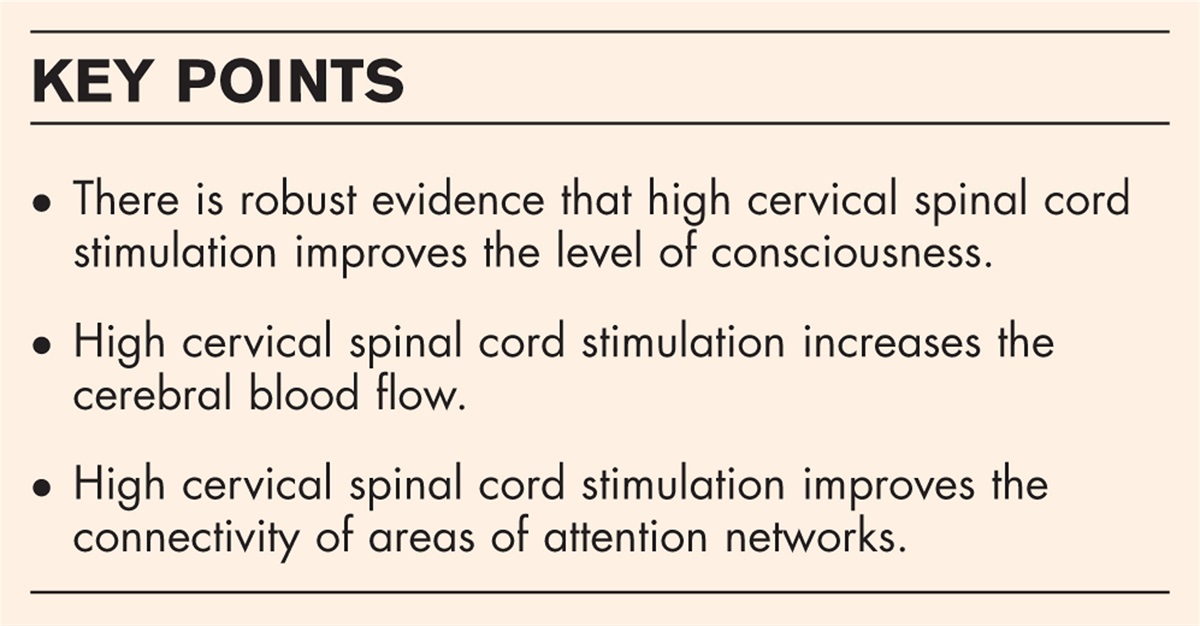 Review of spinal cord stimulation for disorders of consciousness