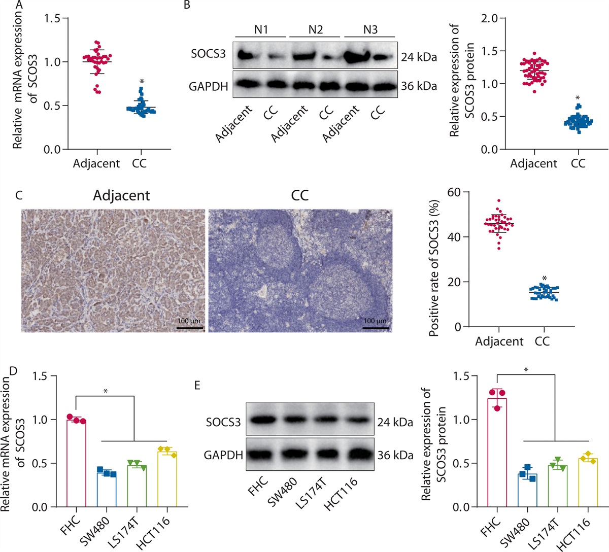 M2 Macrophage-Derived Extracellular Vesicles Containing MicroRNA-501-3p Promote Colon Cancer Progression Through the SETD7/DNMT1/SOCS3 Axis