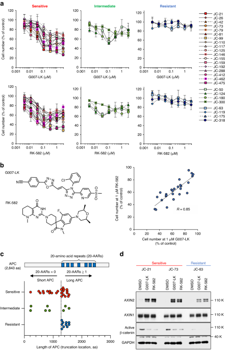 APC/PIK3CA mutations and β-catenin status predict tankyrase inhibitor sensitivity of patient-derived colorectal cancer cells