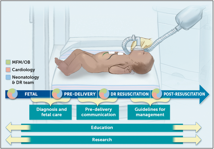 Call to action: prioritizing delivery room care for neonates with critical congenital heart disease