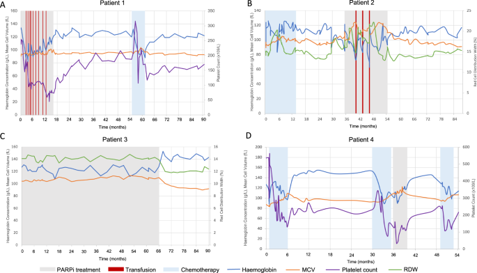 Monitoring clone dynamics and reversibility in clonal haematopoiesis and myelodysplastic neoplasm associated with PARP inhibitor therapy—a role for early monitoring and intervention