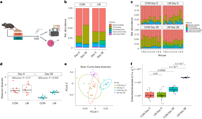 Multiple micronutrient deficiencies in early life cause multi-kingdom alterations in the gut microbiome and intrinsic antibiotic resistance genes in mice