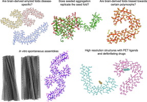 Emerging Trends in Cryo-EM-based Structural Studies of Neuropathological Amyloids