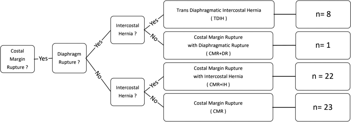 Costal margin injuries and trans-diaphragmatic intercostal hernia: Presentation, management and outcomes according to the Sheffield classification