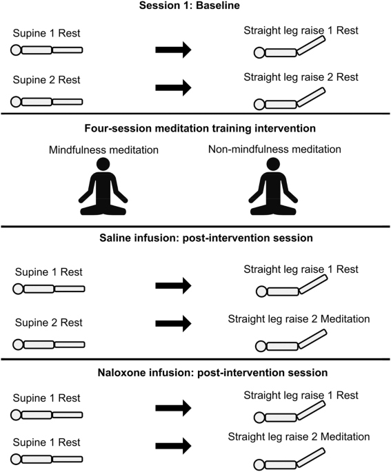The role of endogenous opioids in mindfulness and sham mindfulness-meditation for the direct alleviation of evoked chronic low back pain: a randomized clinical trial