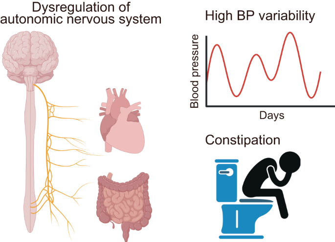 Constipation and high blood pressure variability
