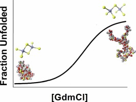 Structural motifs in the early metallation steps of Zn(II) and Cd(II) binding to apo-metallothionein 1a