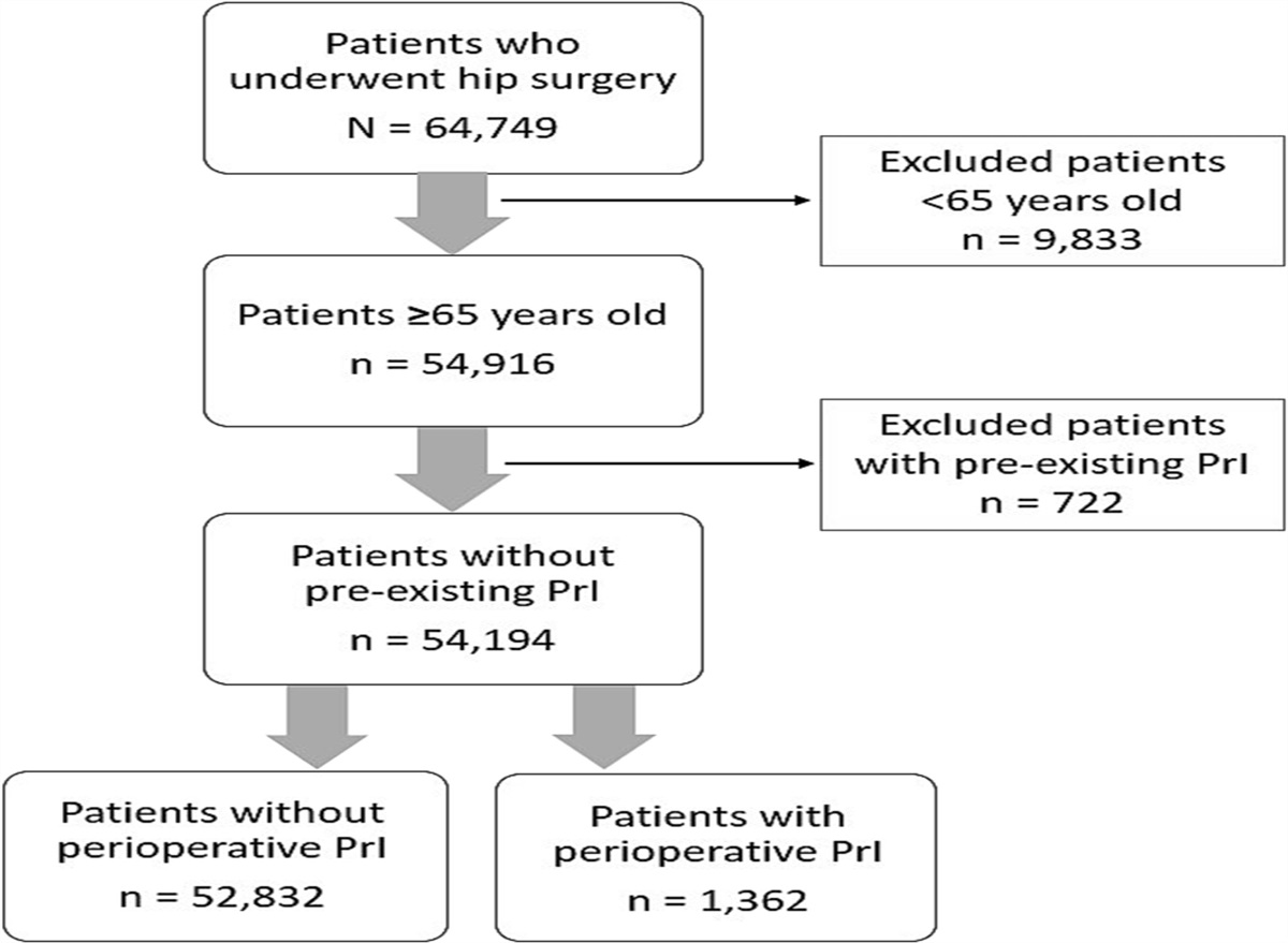 Clinical Risk Factors of Perioperative Pressure Injury in Older Adult Patients with a Hip Fracture