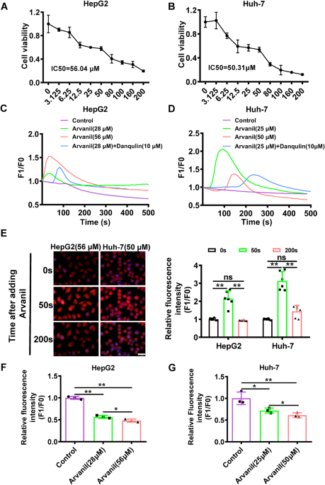 Arvanil induces ferroptosis of hepatocellular carcinoma by binding to MICU1