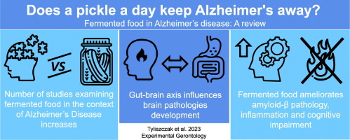 Does a pickle a day keep Alzheimer's away? Fermented food in Alzheimer's disease: A review