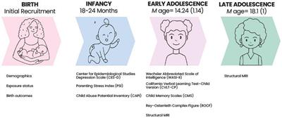 Early emotional caregiving environment and associations with memory performance and hippocampal volume in adolescents with prenatal drug exposure