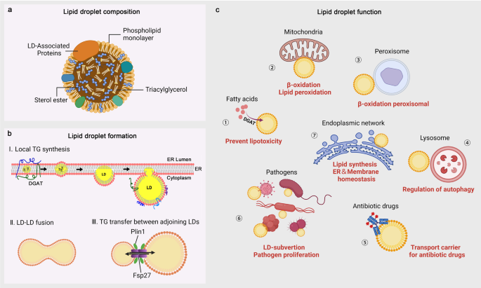 Lipid droplets in pathogen infection and host immunity