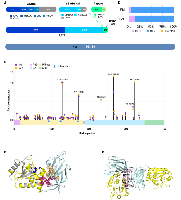 Source, co-occurrence, and prognostic value of PTEN mutations or loss in colorectal cancer