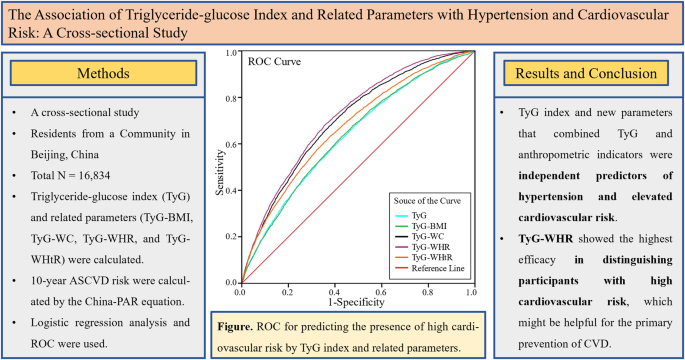 The association of triglyceride-glucose index and related parameters with hypertension and cardiovascular risk: a cross-sectional study