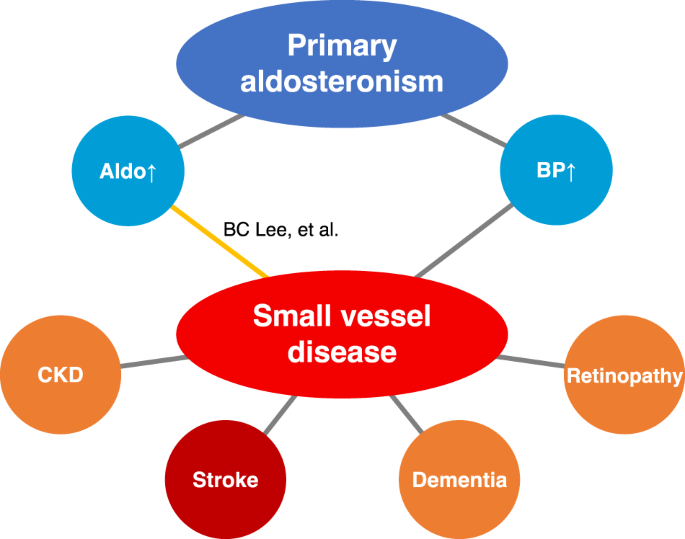 Possible relationship between primary aldosteronism and small vessel disease