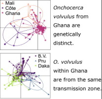 Genome-based tools for onchocerciasis elimination: utility of the mitochondrial genome for delineating Onchocerca volvulus transmission zones