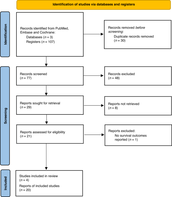 Long-term outcomes of neoadjuvant immunotherapy plus chemotherapy in patients with early-stage triple-negative breast cancer: an extracted individual patient data and trial-level meta-analysis