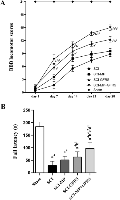 The combination treatment of methylprednisolone and growth factor-rich serum ameliorates the structural and functional changes after spinal cord injury in rat