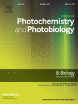 Blue-light-driven photoactivity of L-cysteine-modified graphene quantum dots and their antibacterial effects