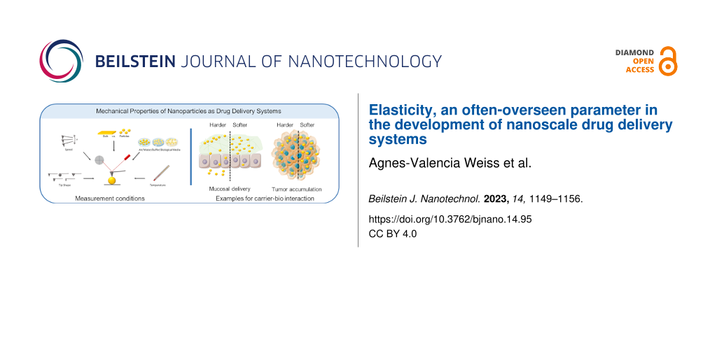 Elasticity, an often-overseen parameter in the development of nanoscale drug delivery systems