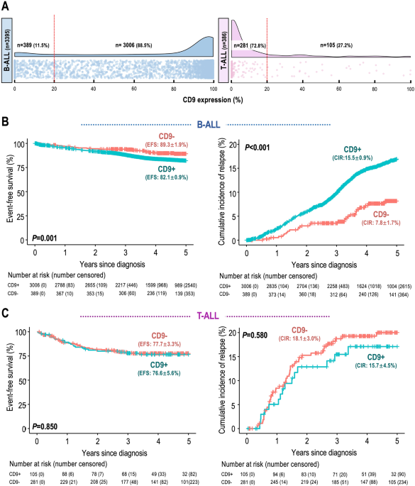 Prognostic implications of CD9 in childhood acute lymphoblastic leukemia: insights from a nationwide multicenter study in China