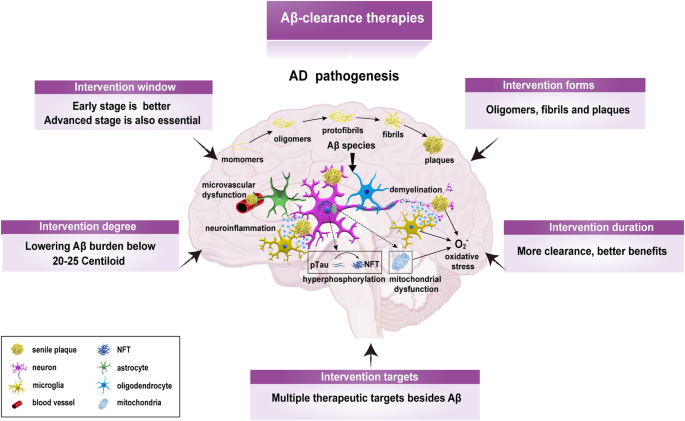 Clarity on the blazing trail: clearing the way for amyloid-removing therapies for Alzheimer’s disease