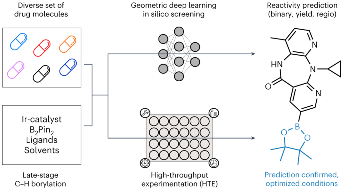 Enabling late-stage drug diversification by high-throughput experimentation with geometric deep learning