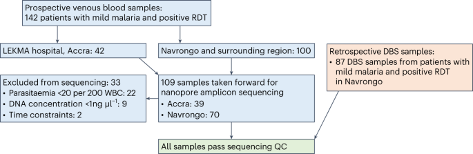 Drug resistance and vaccine target surveillance of Plasmodium falciparum using nanopore sequencing in Ghana