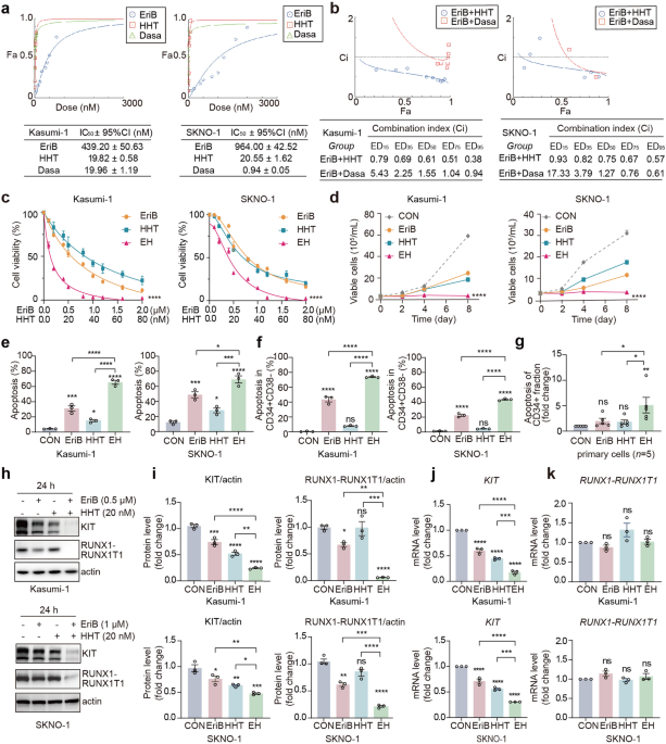 Combination of eriocalyxin B and homoharringtonine exerts synergistic anti-tumor effects against t(8;21) AML