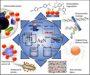 An overview of green synthesized silver nanoparticles towards bioactive antibacterial, antimicrobial and antifungal applications