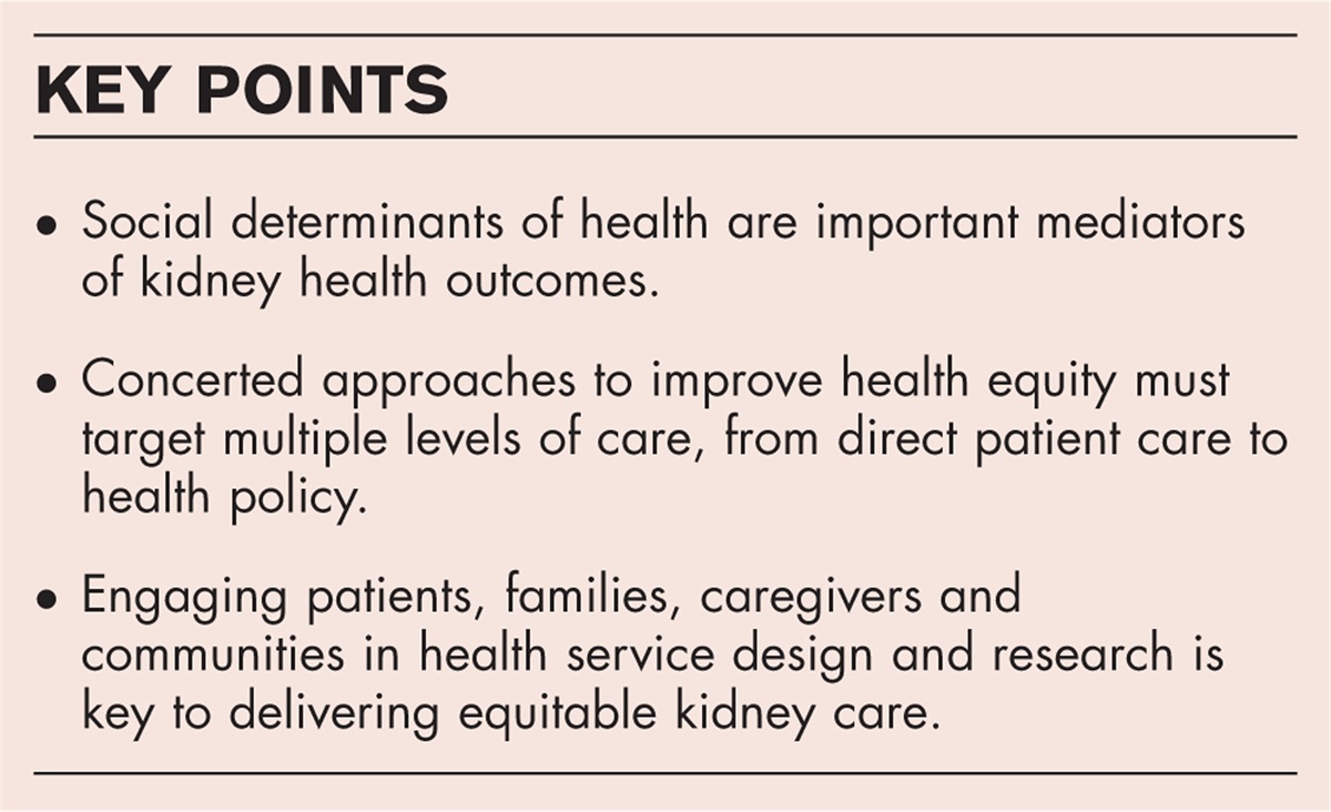 Multimodal approaches for inequality in kidney care: turning social determinants of health into opportunities