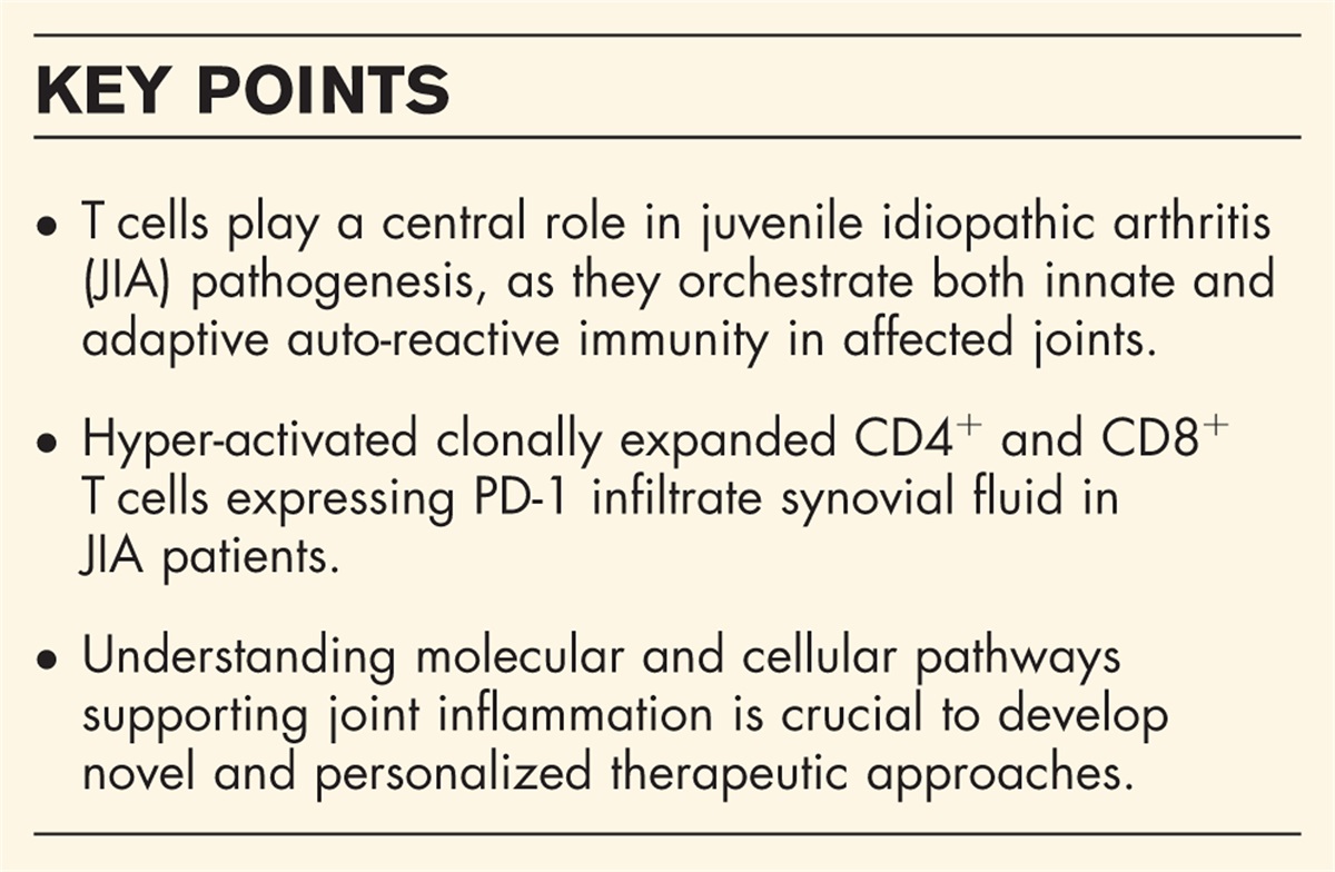 T lymphocytes-related cell network in the pathogenesis of juvenile idiopathic arthritis: a key point for personalized treatment