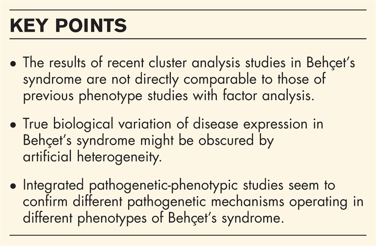 Cluster analysis as a clinical and research tool in Behçet's syndrome