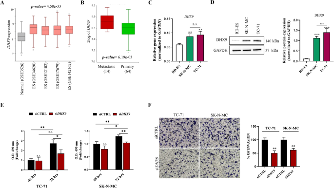 The DNA/RNA helicase DHX9 orchestrates the KDM2B-mediated transcriptional regulation of YAP1 in Ewing sarcoma