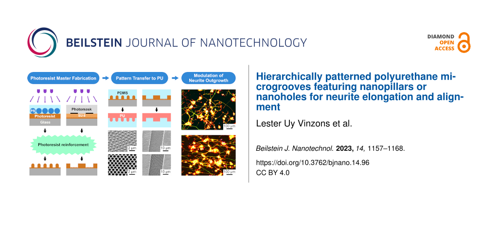 Hierarchically patterned polyurethane microgrooves featuring nanopillars or nanoholes for neurite elongation and alignment