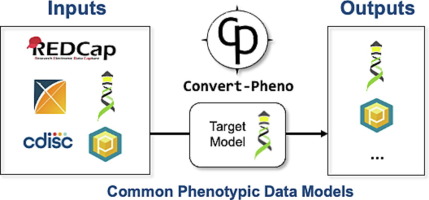 Convert-Pheno: A software toolkit for the interconversion of standard data models for phenotypic data