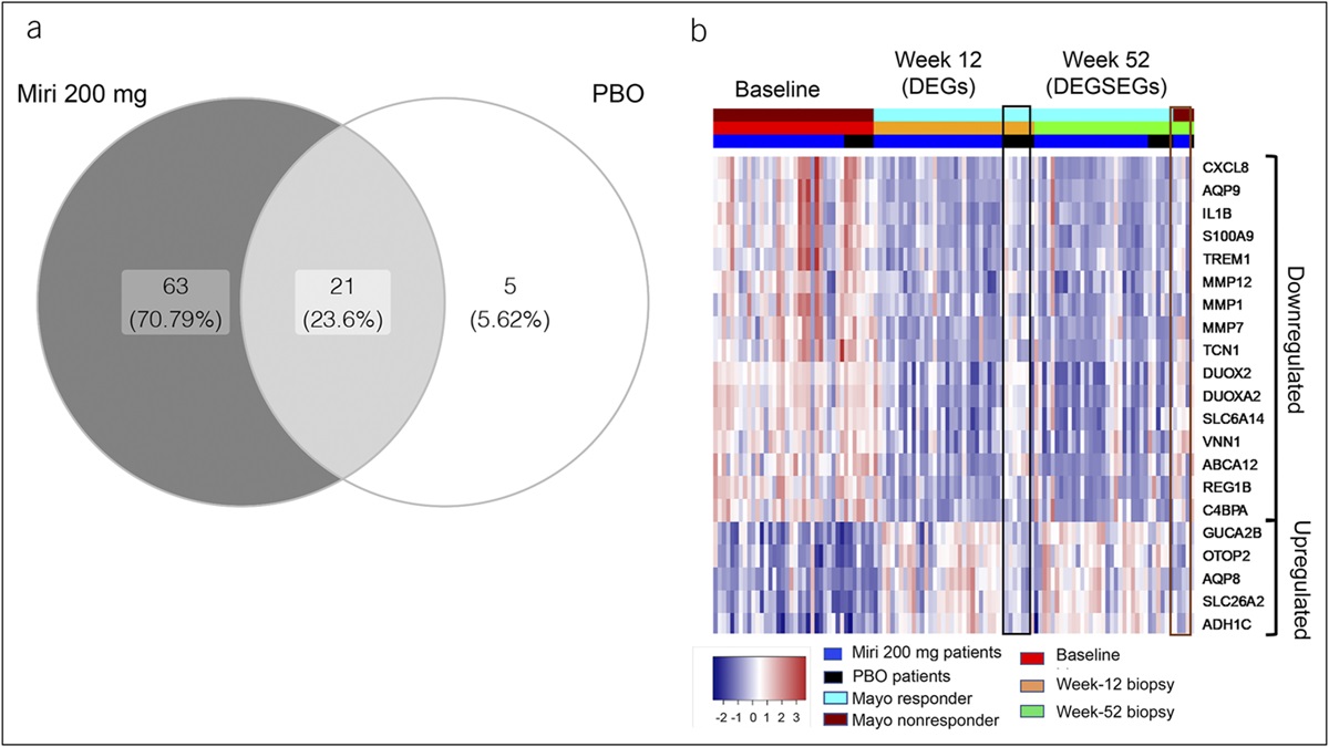 Mirikizumab-Induced Transcriptome Changes in Ulcerative Colitis Patient Biopsies at Week 12 Are Maintained Through Week 52