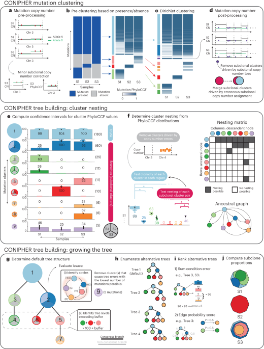 CONIPHER: a computational framework for scalable phylogenetic reconstruction with error correction