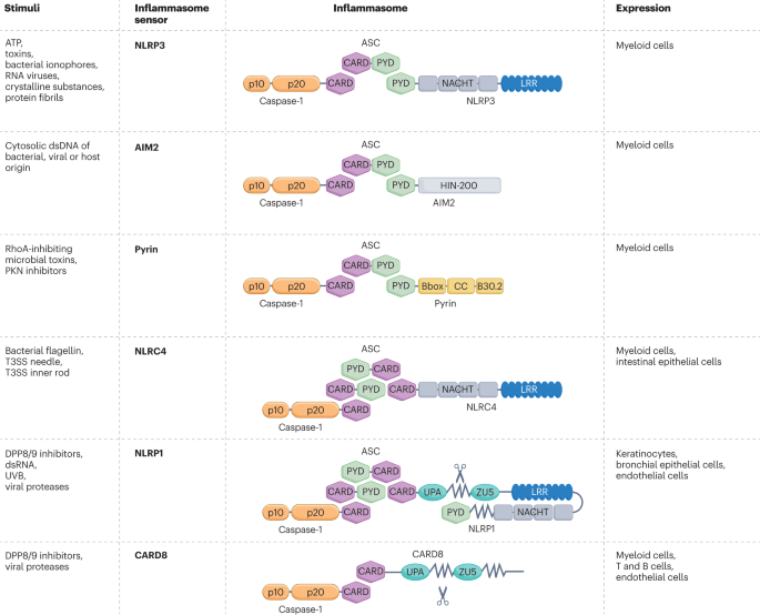 Drugging the NLRP3 inflammasome: from signalling mechanisms to therapeutic targets