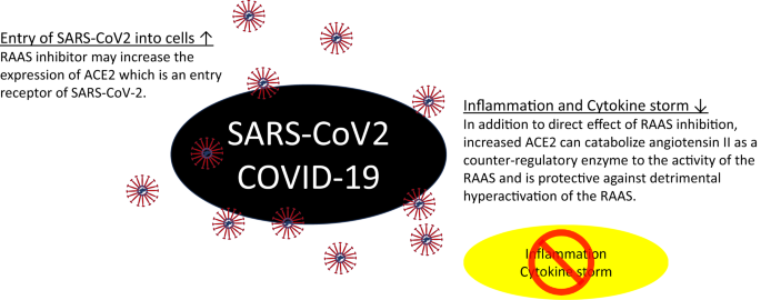 Mitigating secondary disaster triggered by fear of COVID-19: the role of professional medical societies