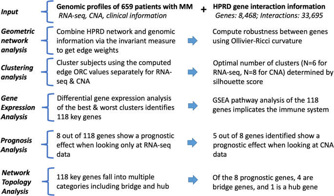 Gene interaction network analysis in multiple myeloma detects complex immune dysregulation associated with shorter survival