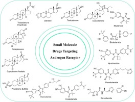 Synthesis and application of clinically approved small-molecule drugs targeting androgen receptor