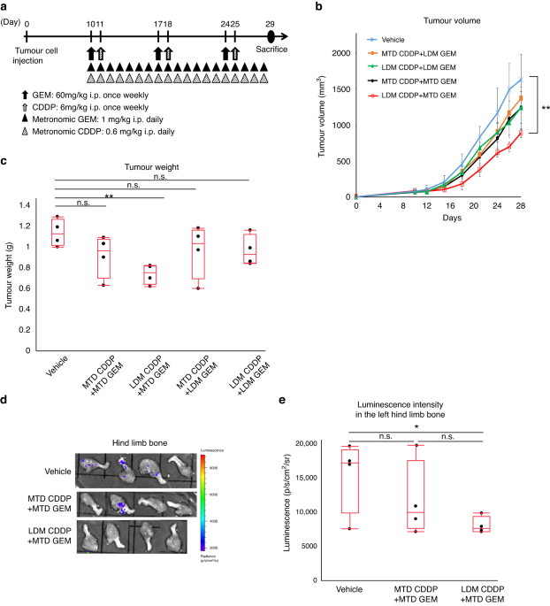 Low-dose metronomic cisplatin as an antiangiogenic and anti-inflammatory strategy for cancer