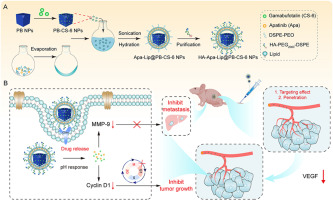 Apatinib and gamabufotalin co-loaded lipid/prussian blue nanoparticles for synergistic therapy to gastric cancer with metastasis