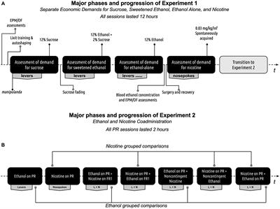 Assessment of ethanol and nicotine interactions using a reinforcer demand modeling with grouped and individual levels of analyses in a long-access self-administration model using male rats