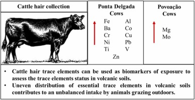 Using cattle hair to assess exposure to essential trace elements in volcanic soils